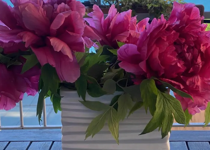 아파트 Casa Bella Vista *