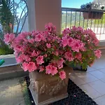 Casa Bella Vista شقة *