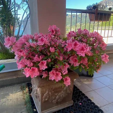 Casa Bella Vista Lejlighed *