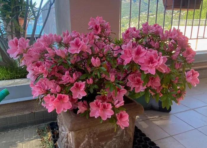 Casa Bella Vista דירה *