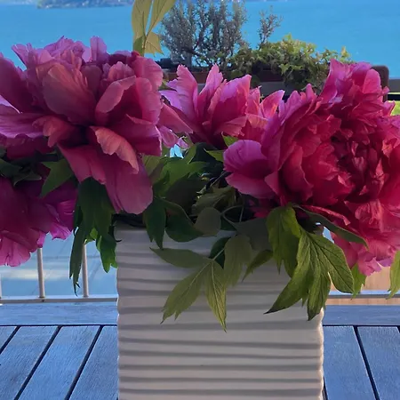 Apartment Casa Bella Vista *